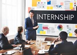 Professional Internship